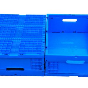 caja de huevos de plástico plegable