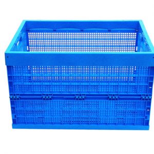 caja plegable de pp