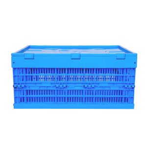 cajas plegables