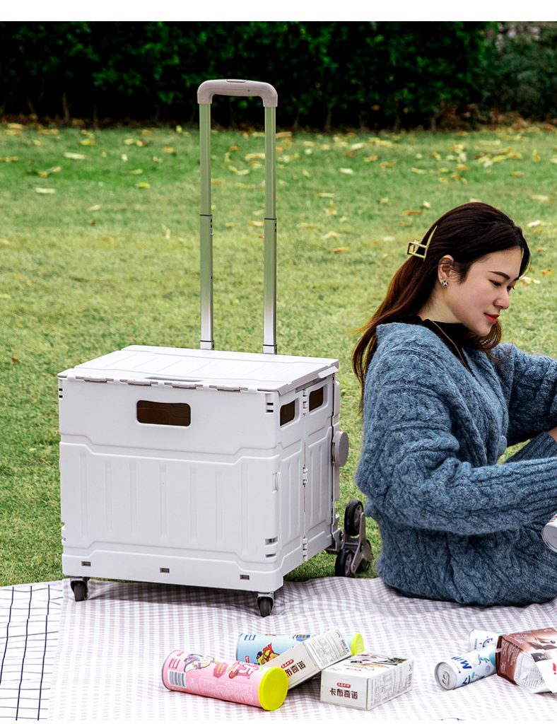 rolling storage crate