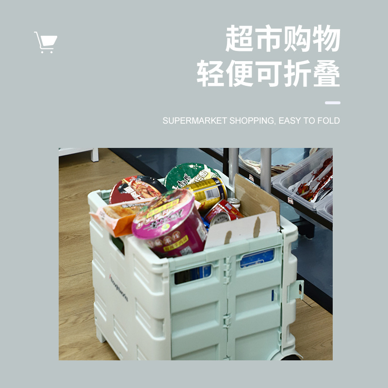 Collapsible Rolling Utility Crate